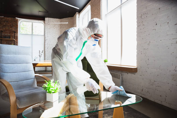 Reliable Boonton, NJ Mold Removal Solutions